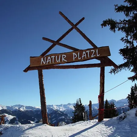 Cozy Chalet With Sauna In Gro Arl Grossarl